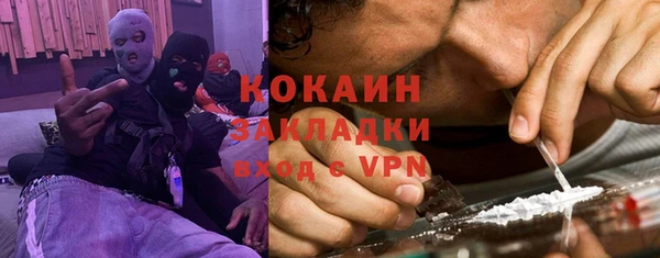 гашик Алексеевка