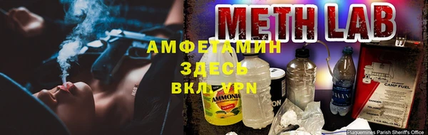 PSILOCYBIN Алзамай