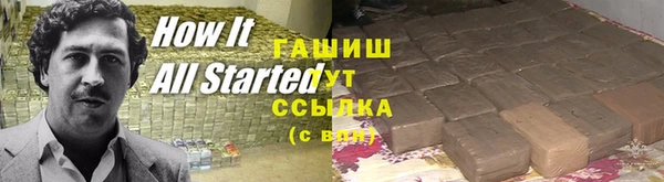 PSILOCYBIN Алзамай
