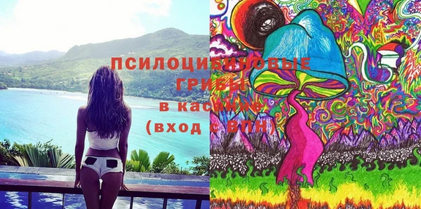гашик Алексеевка
