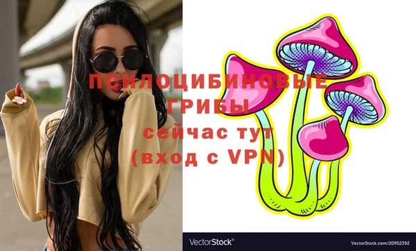 гашик Алексеевка