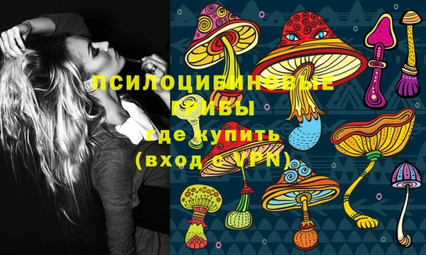 PSILOCYBIN Алзамай
