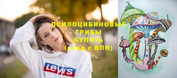 PSILOCYBIN Алзамай