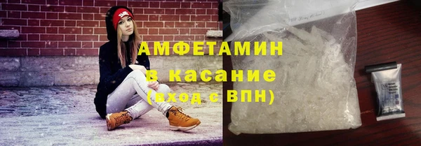 PSILOCYBIN Алзамай